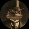 thedynamictoad